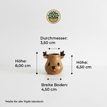 Rudolph and Friends (3er Pack)