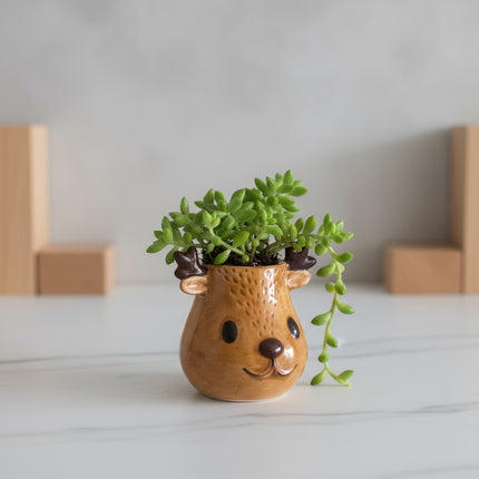 Rudolph and Friends (3er Pack)