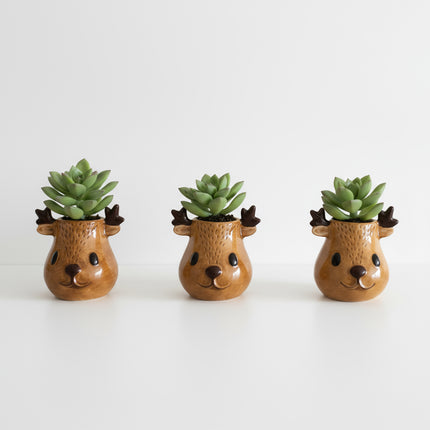 Rudolph and Friends (3er Pack)