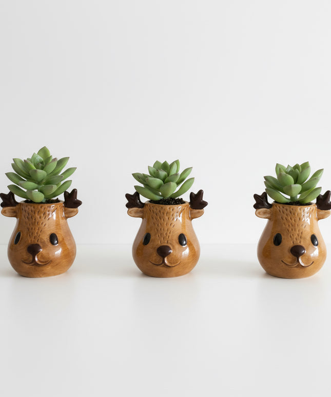 Rudolph and Friends (3er Pack)