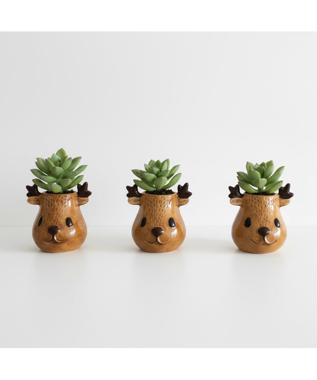 Rudolph and Friends (3er Pack)