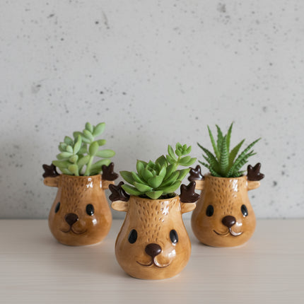 Rudolph and Friends (3er Pack)