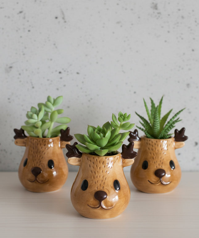 Rudolph and Friends (3er Pack)